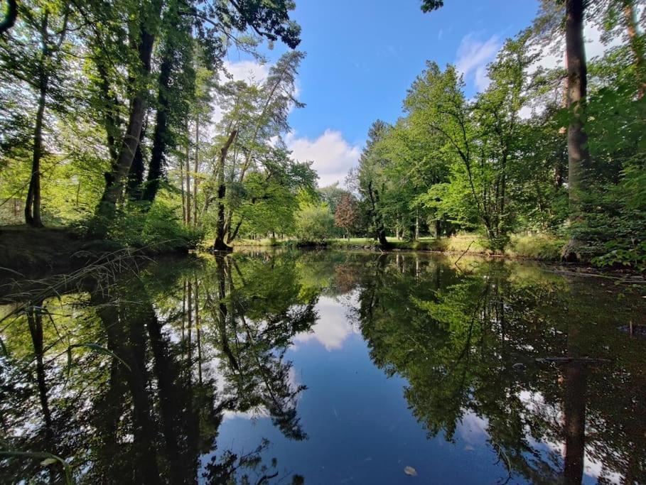 -Stadthaus Ida- Mit Grosser Dachterasse, Am Schlosspark, Luftkurort Kisslegg, Boxspringbetten, Kaffeevollautomat, Smarttv, Familienfreundlich, Grosszuegig, Zentral المظهر الخارجي الصورة