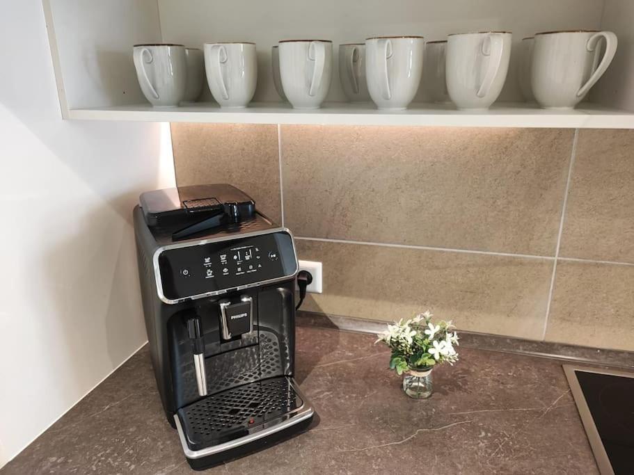 -Stadthaus Ida- Mit Grosser Dachterasse, Am Schlosspark, Luftkurort Kisslegg, Boxspringbetten, Kaffeevollautomat, Smarttv, Familienfreundlich, Grosszuegig, Zentral المظهر الخارجي الصورة