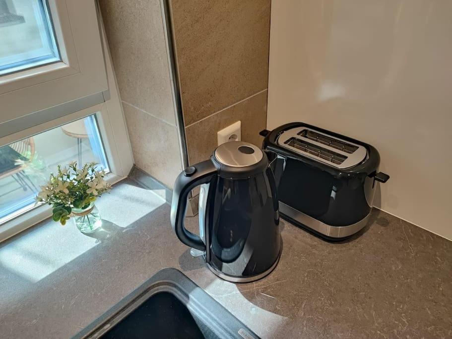 -Stadthaus Ida- Mit Grosser Dachterasse, Am Schlosspark, Luftkurort Kisslegg, Boxspringbetten, Kaffeevollautomat, Smarttv, Familienfreundlich, Grosszuegig, Zentral المظهر الخارجي الصورة