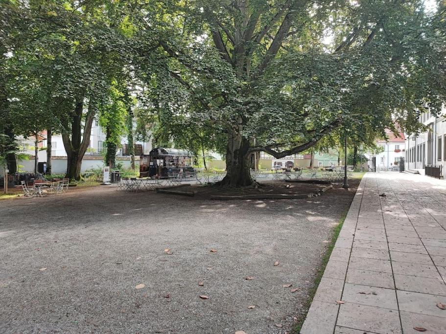 -Stadthaus Ida- Mit Grosser Dachterasse, Am Schlosspark, Luftkurort Kisslegg, Boxspringbetten, Kaffeevollautomat, Smarttv, Familienfreundlich, Grosszuegig, Zentral المظهر الخارجي الصورة