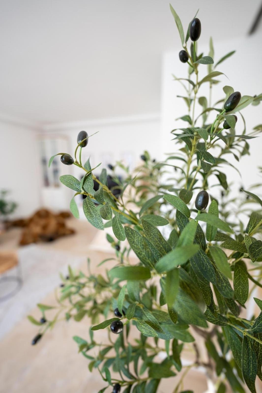 -Stadthaus Ida- Mit Grosser Dachterasse, Am Schlosspark, Luftkurort Kisslegg, Boxspringbetten, Kaffeevollautomat, Smarttv, Familienfreundlich, Grosszuegig, Zentral المظهر الخارجي الصورة